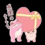 🌹Happy Valentine's day❤️🍫