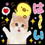 ゆっくり 休んで くださいね