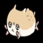 ハムスターの子