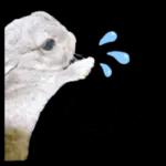 むーちゃんかわいこちゃんのスタンプ