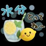 気遣い♡かわいい動物３D夏