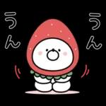 ガーリーくまさんの春