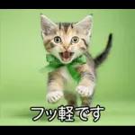 ENFPにゃんこスタンプ