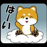 体が大事です👩🏻‍⚕️👩🏻‍⚕️👩🏻‍⚕️