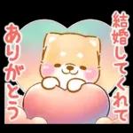 愛する人に感謝を送る❤️いやしばいぬ赤柴