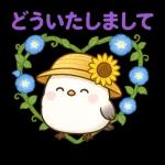 夏気分いっぱいひよこ