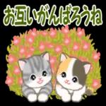 ころころ子猫 春の野原でかくれんぼ