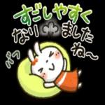 夏～秋「白うさぎさん」日常パック