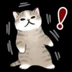 毎日☆猫たちのスタンプ