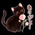 黒猫のつめあわせ♪