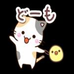 かわいい〜うれしい〜