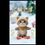 今年もよろしくお願いします