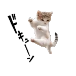 🔺噴火警戒！三宅島レベル2