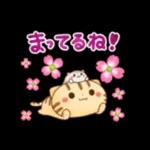 やあっ! ン