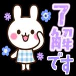 【梅雨・夏】大人かわいい日常