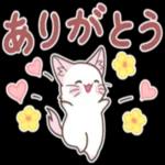 荷物届いてるよ