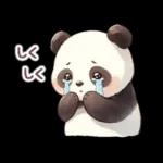 見逃せない選択！！！