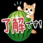 祝 お
とめ
RC