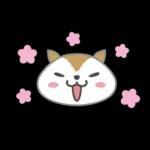 『ラヴィット！』ラッピー