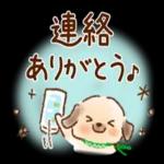 いつもありがとうございます