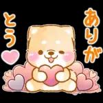 愛する人に感謝を送る❤️いやしばいぬ赤柴