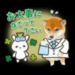 かわいい犬たち冬♡冬＆正月 柴犬