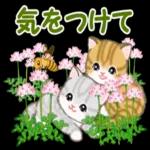 ころころ子猫 春の野原でかくれんぼ