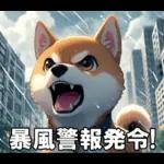 夏の天気をお知らせする柴犬【便利・日常】