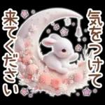 癒しうさぎのマリンスタイル☆*。