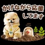 癒しポメラニアンの春のあいさつ