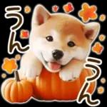 喜怒哀楽の激しい柴犬の野菜ダンス