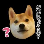Premium 柴犬こてつ君*スタンプ第二弾