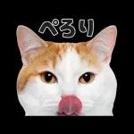 猫の顔がどーん！