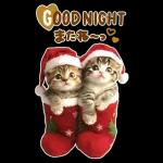 大きく表示♡冬にゃんこ