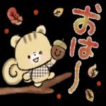 かわいい秋の日♡〜ねこ〜