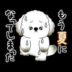 動く犬さん 2025 「暑い夏」