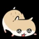 ハムスターの子