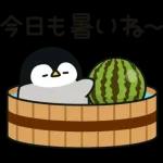 こんばんは