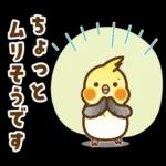 ホッキョクグマとインコの返事【夏】