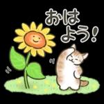 最近どう？？🥺🥺🥺