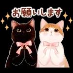 黒猫のつめあわせ♪