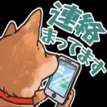 柴犬の手書き風スタンプです。