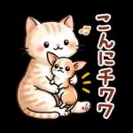 猫のつめあわせ④【ダジャレ】