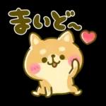 ゆるっとかわいい日常メッセージ☆