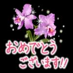 良い一日をなりますように！