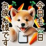 喜怒哀楽の激しい柴犬の野菜ダンス