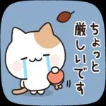 お酒好きなねこさん 4軒目！敬語