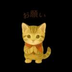 子猫のとらの日常スタンプ