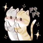 毎日使える♡大人可愛い