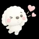 ず～っと使える♡かわいいトイプーさん♡白